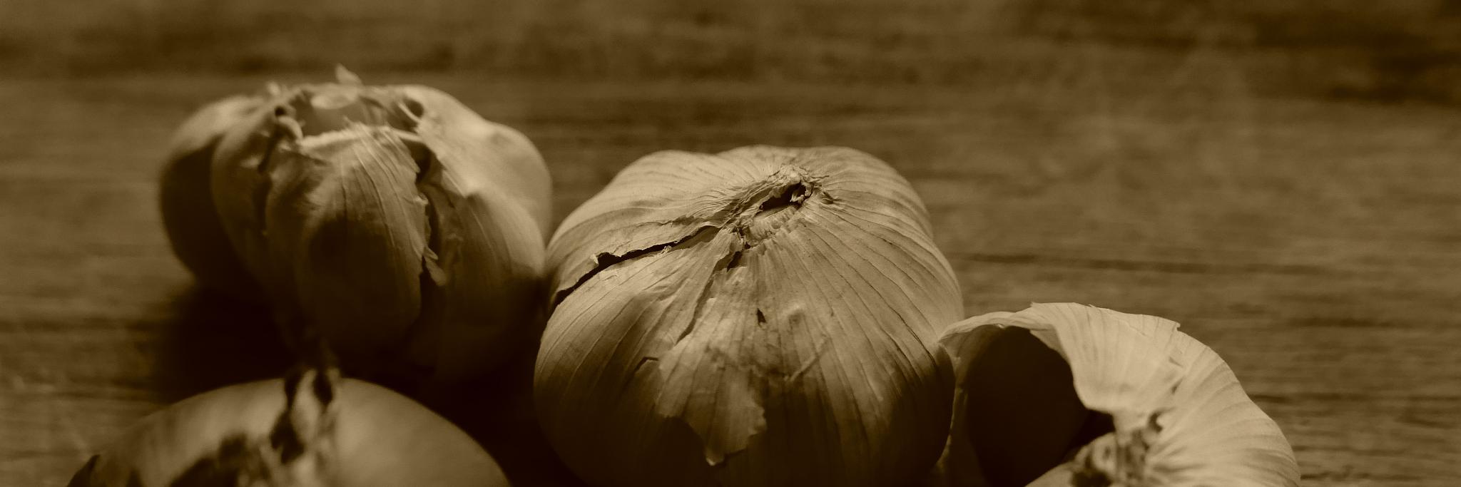 PhotoMusicArts's profile banner image