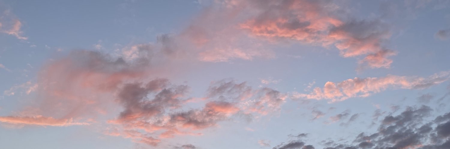 hanbicks's profile banner image