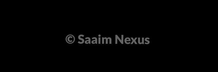 Saaim_Nexus banner