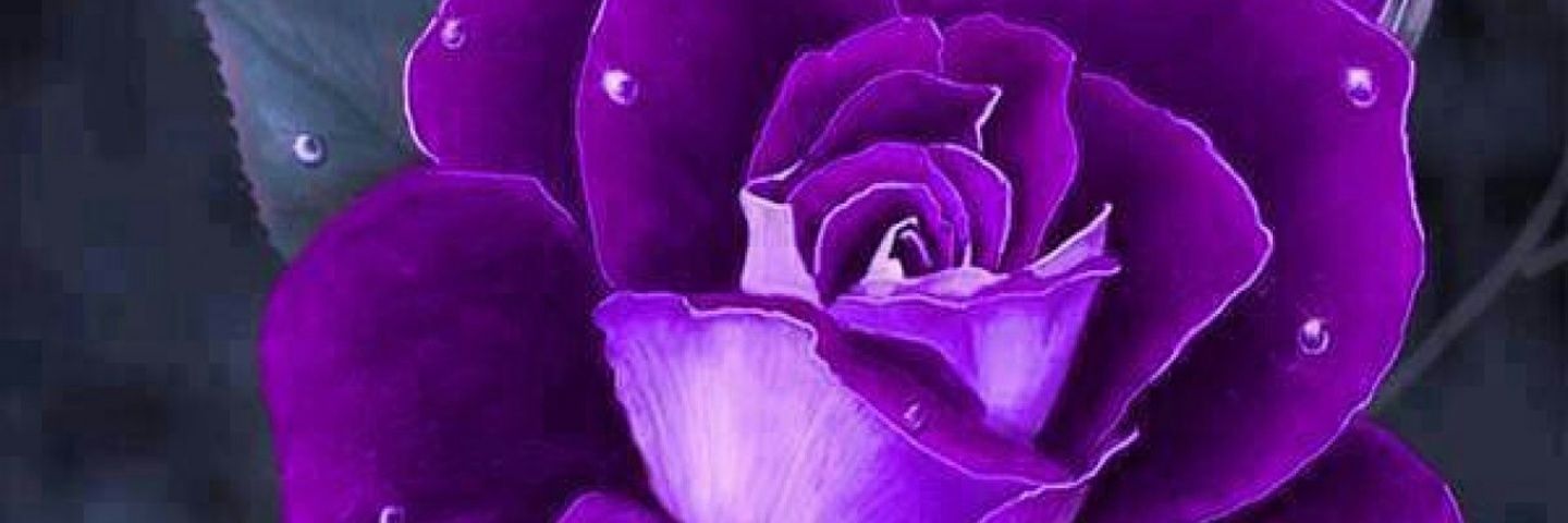 BurtonMeta1's profile banner image