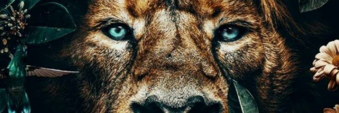 Misszeedube's profile banner image