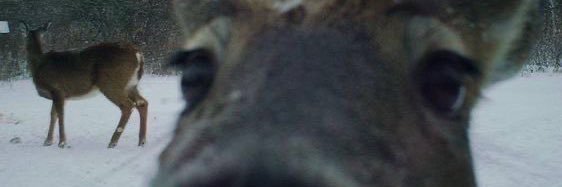 MartuuCuminetti's profile banner image