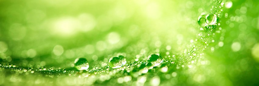 New Care Supplements banner