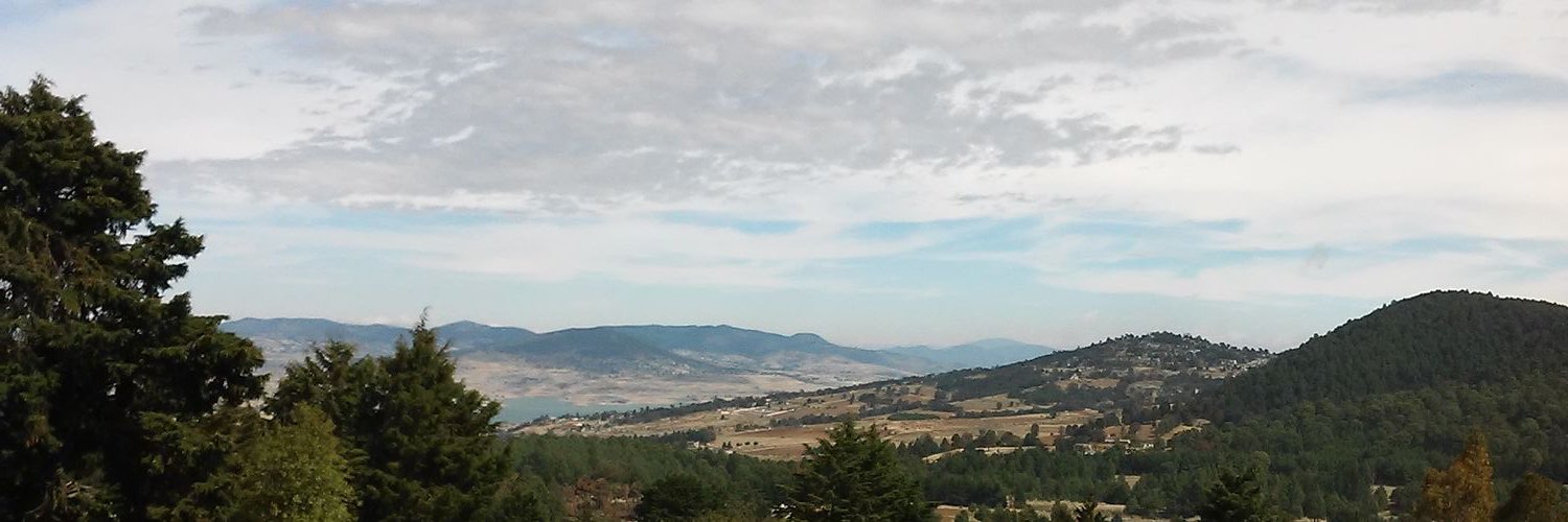 straannyn's profile banner image