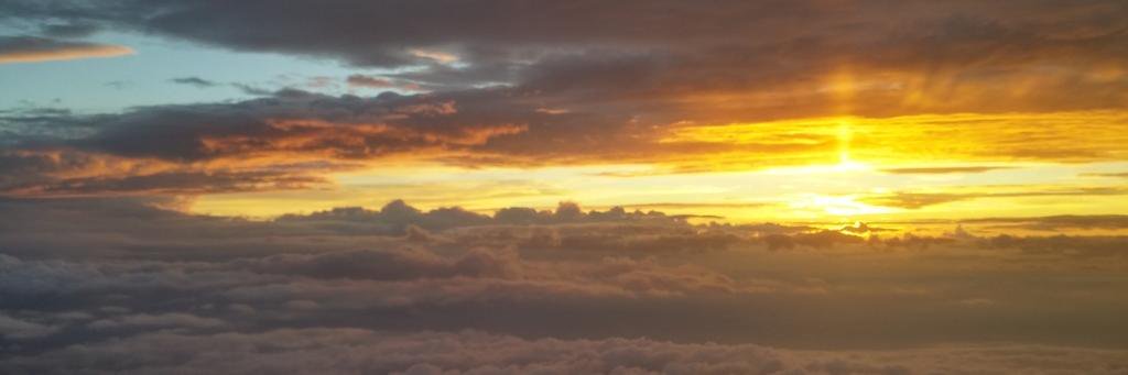 Mercè Ratera banner