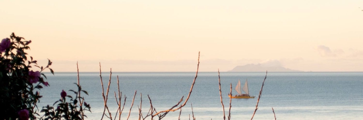 Maddie Scott-Jones banner