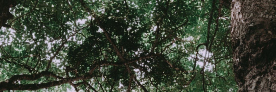 MeilyMegasari's profile banner image