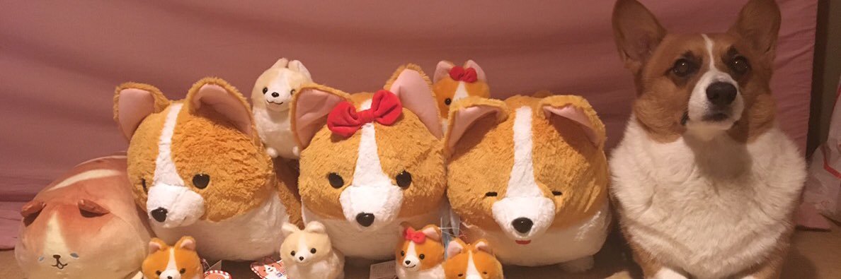 シロップ兄やんと二代目テト君 banner