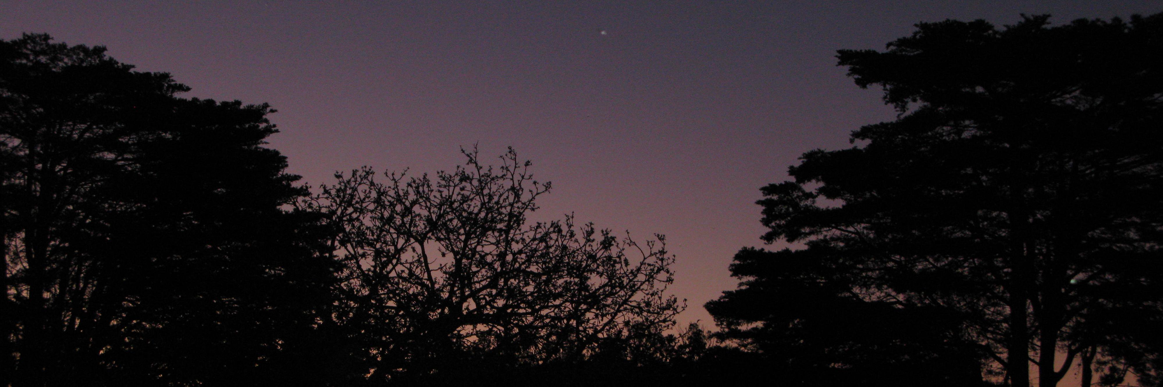 Kimberley Meagher banner