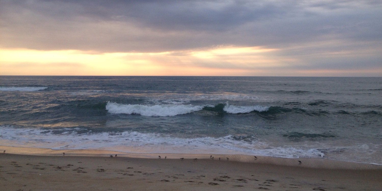 Rhonda Cadena, MD, FNCS, FCCM banner