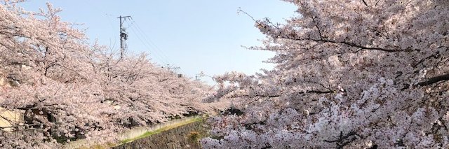 tomz_to's profile banner image