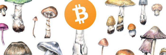 Dr. Bitcarrot banner