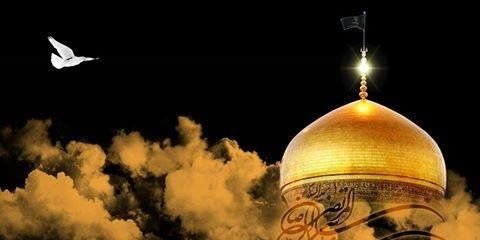 zaheermtm's profile banner image