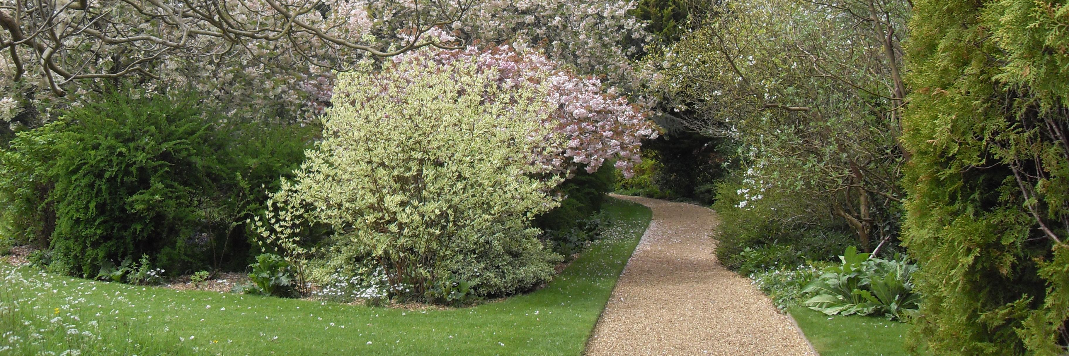 Adam P. Goucher banner