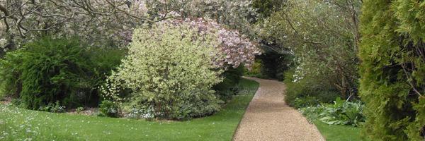 apgox Profile Banner