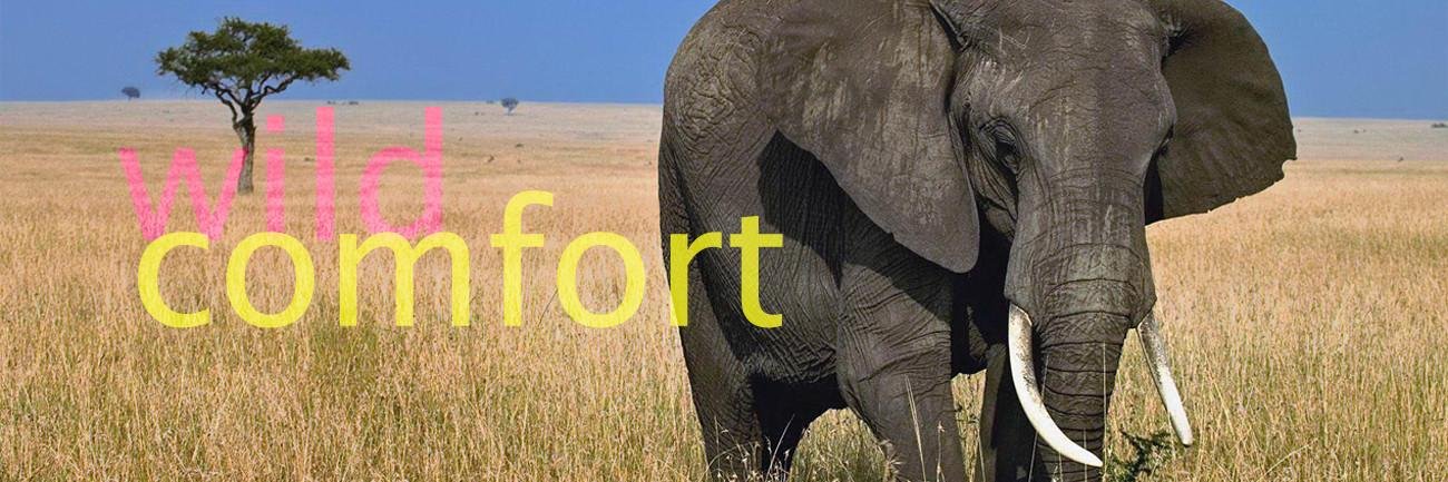_WildComfort's profile banner image