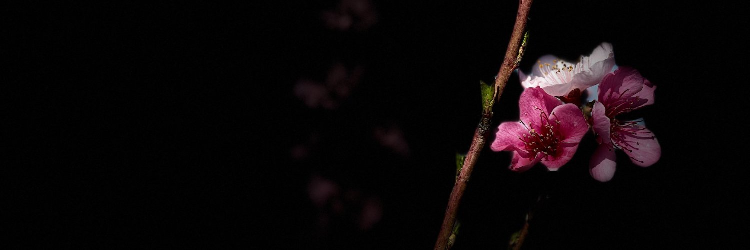 val_jval's profile banner image