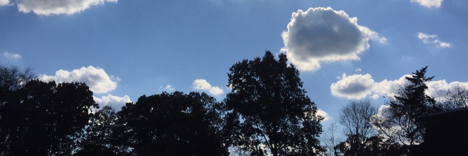 wwalterwong's profile banner image