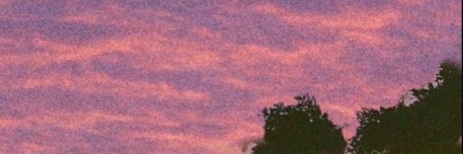 Felix Nagel banner