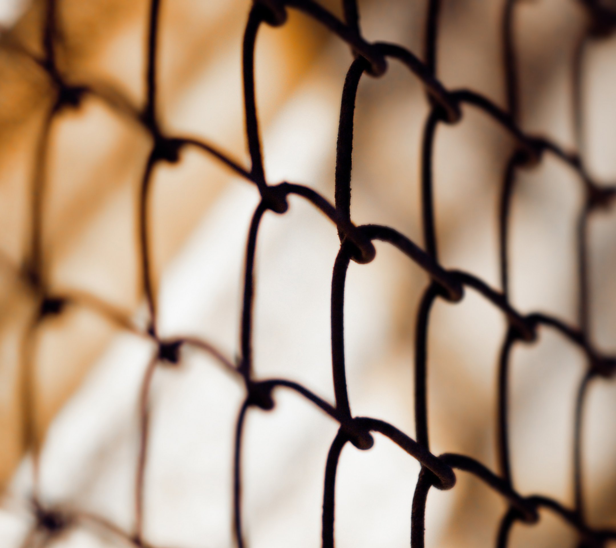 Qumien's profile banner image