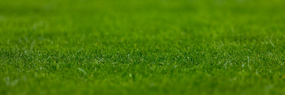 TrawnikP's profile banner image