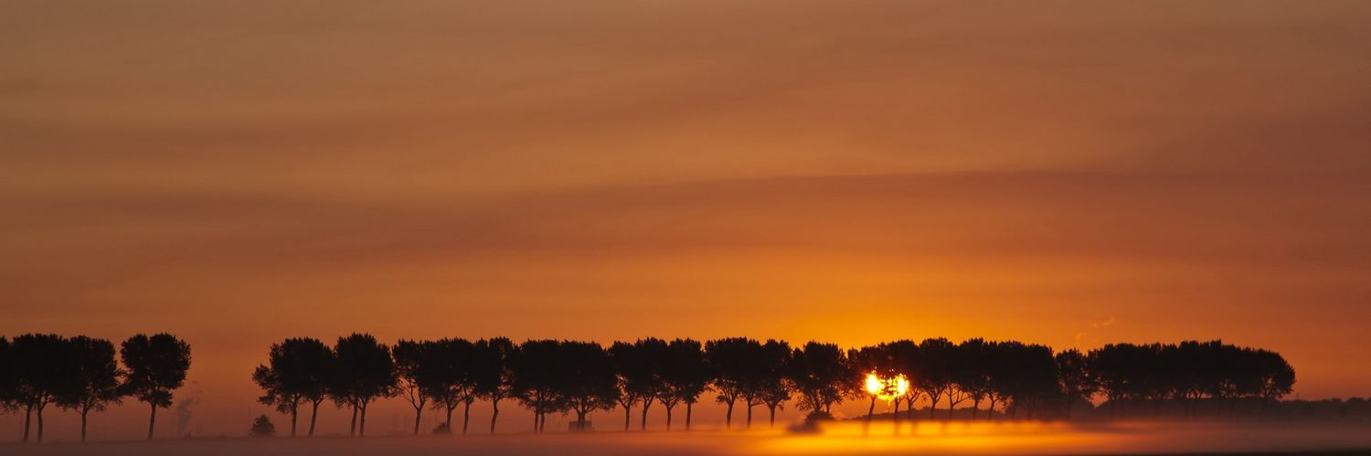 ehnsir's profile banner image