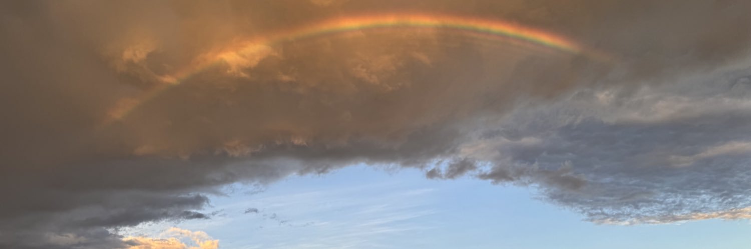 n_oliveira🙂‍↕️ banner