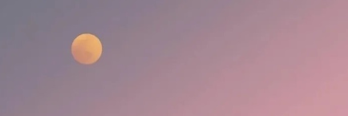valarlily's profile banner image