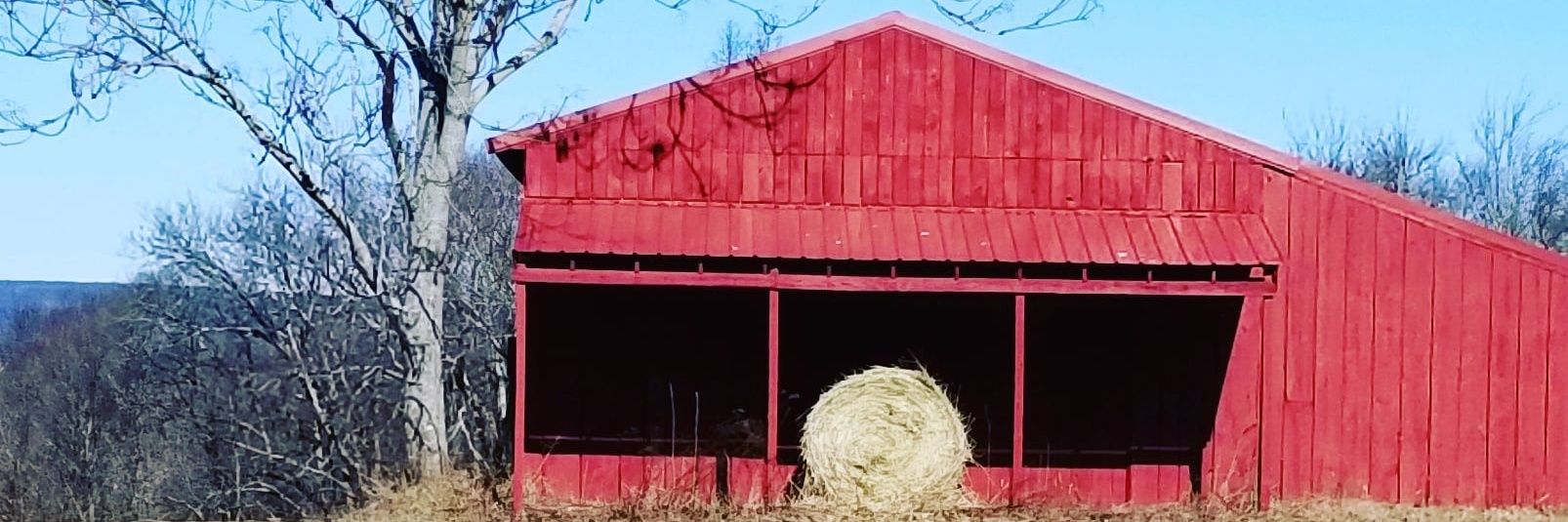 Bobbinzzz's profile banner image