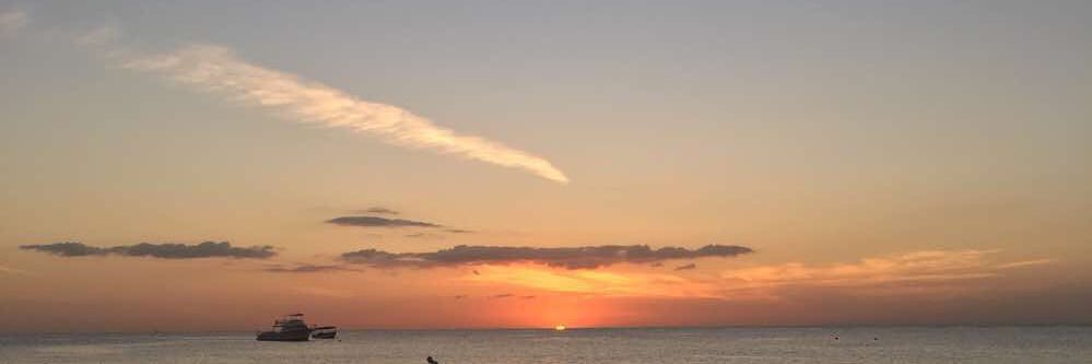 Sam_pecora's profile banner image