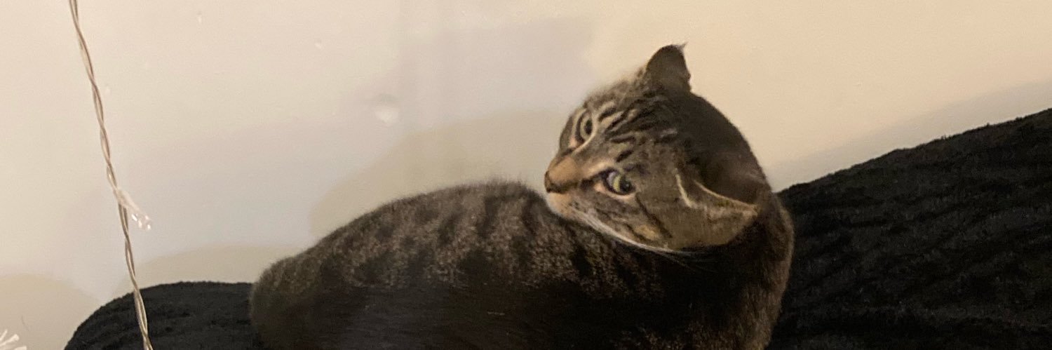 iiiisabelleeee's profile banner image