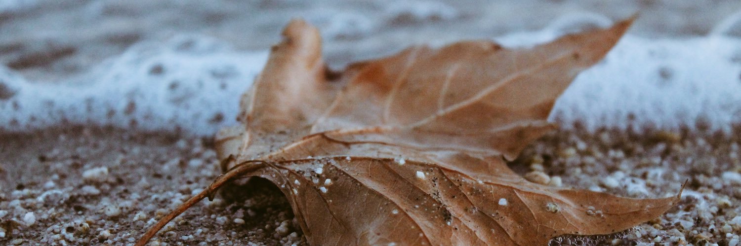 RhinesSierra's profile banner image