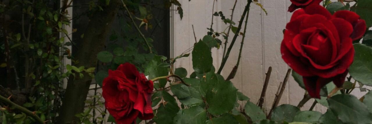 Salvatoraaa's profile banner image
