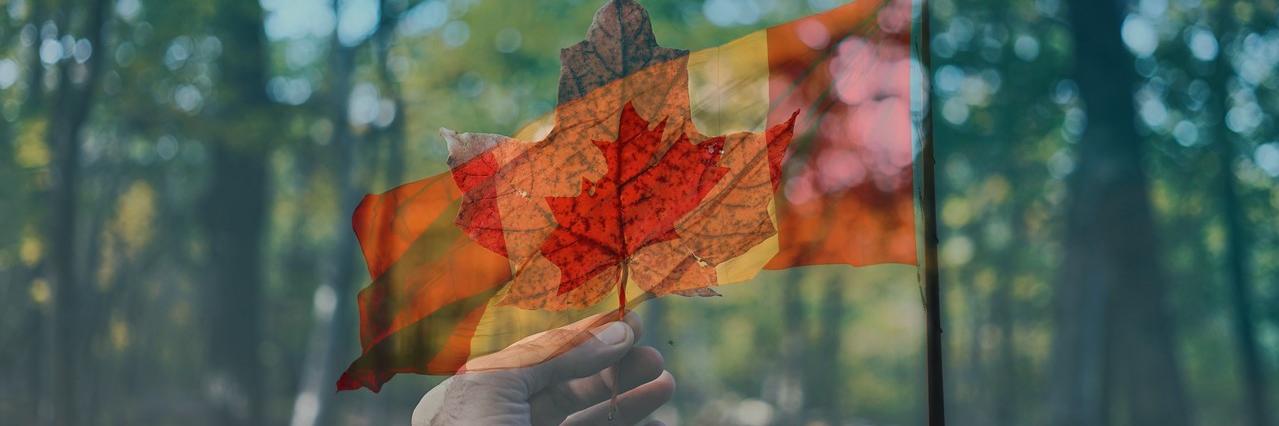 VGCanada's profile banner image