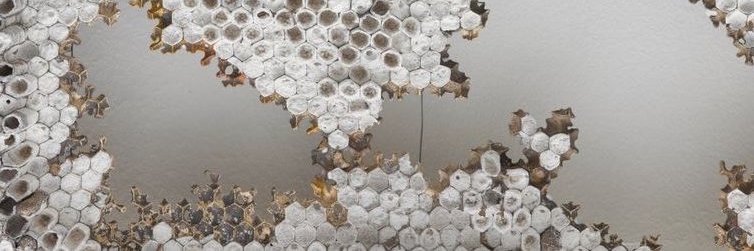 abbylandes's profile banner image