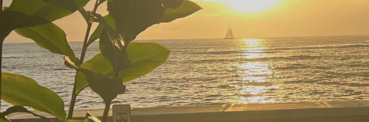 sshalexy's profile banner image
