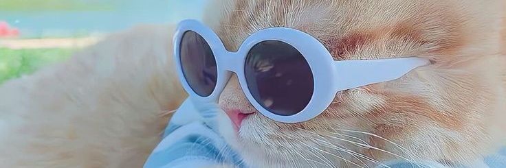 lizace01's profile banner image
