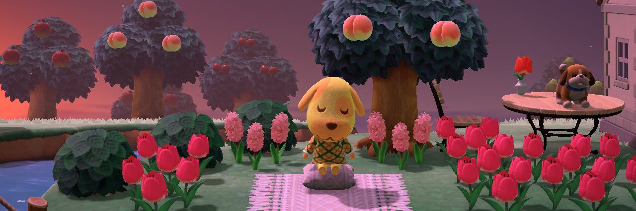 cheyiscrossing's profile banner image