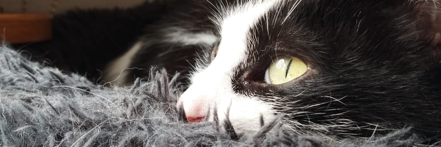 Carlos F Leiro banner