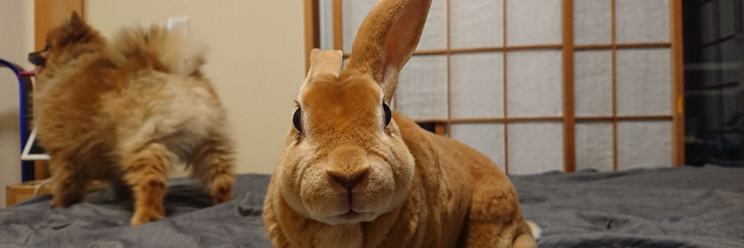 otamirai's profile banner image