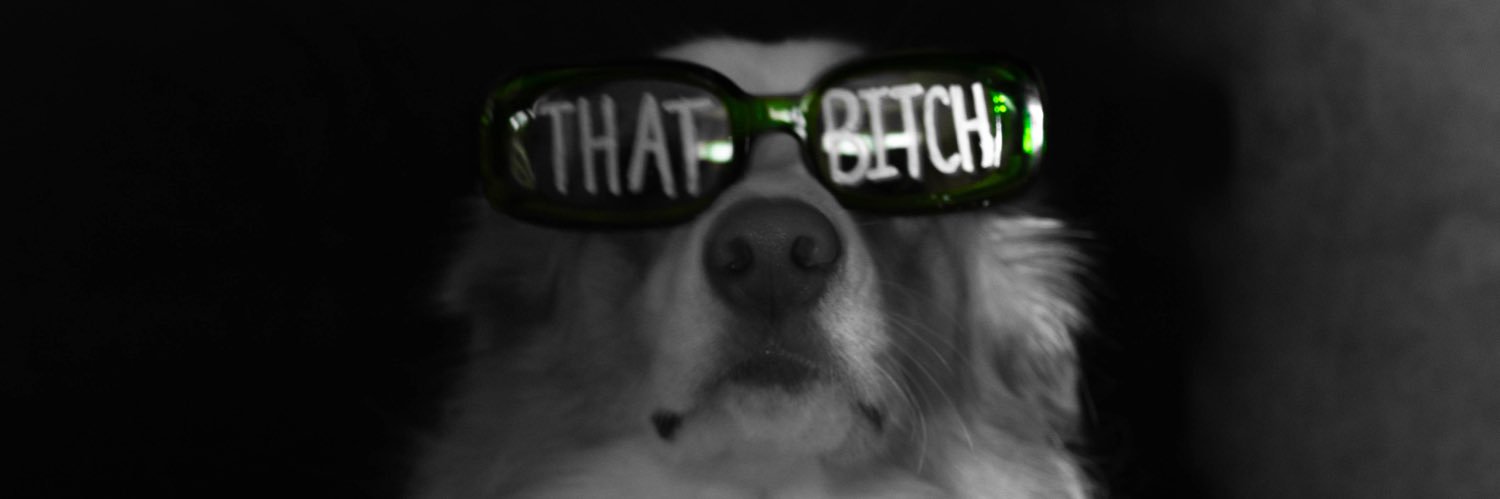 perryann075's profile banner image
