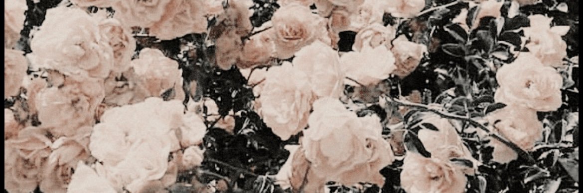 itsHalieGrace's profile banner image