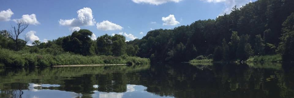 Steve Norgrove banner