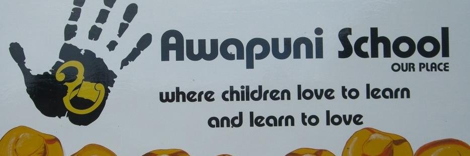 Awapuni School banner