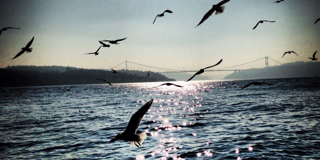 Balçiçek İlter banner