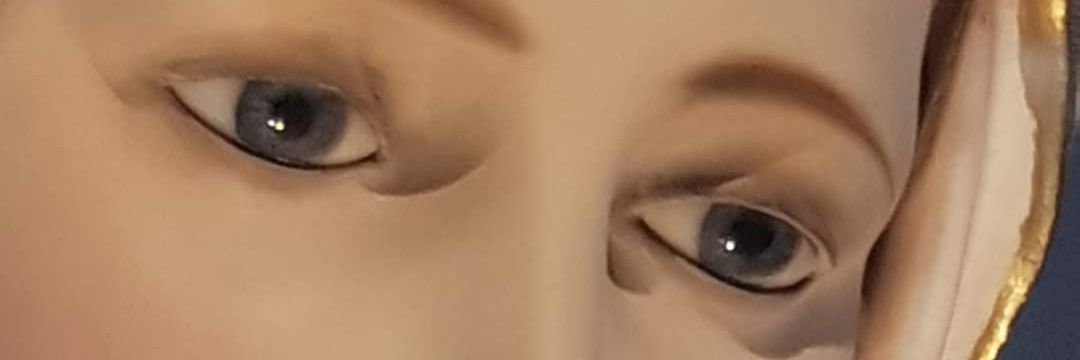 cenacoloM's profile banner image