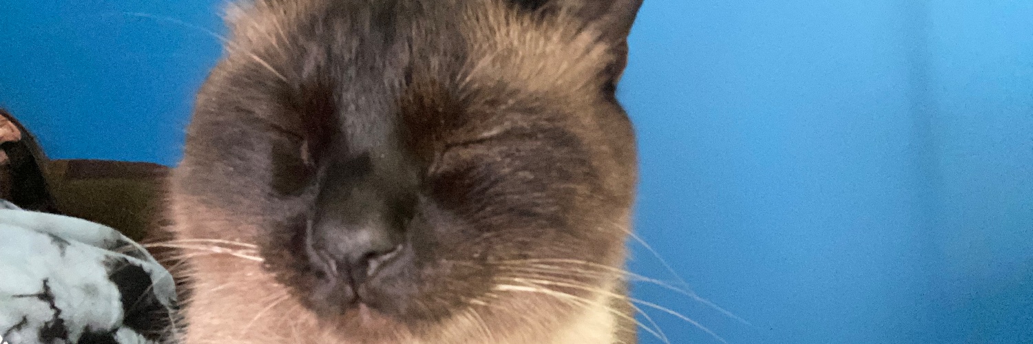 TPD622000's profile banner image