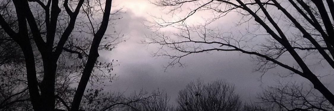 , banner