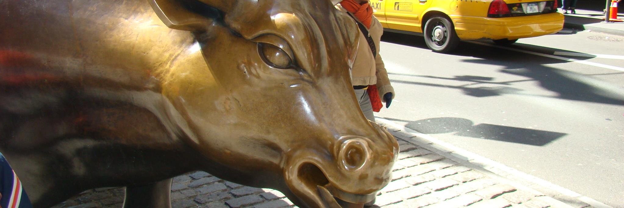 bradh7's profile banner image