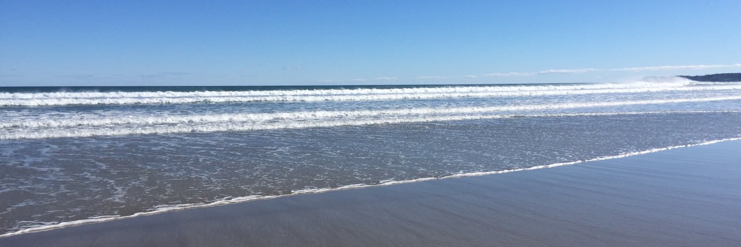 jecardarelli's profile banner image
